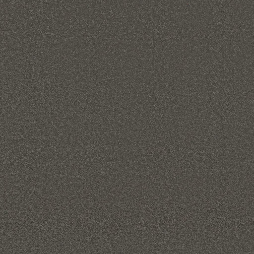 Shaw Floors - Carpet - Classics Collection  - Awaken Spirit I 12' - Rocky Slope