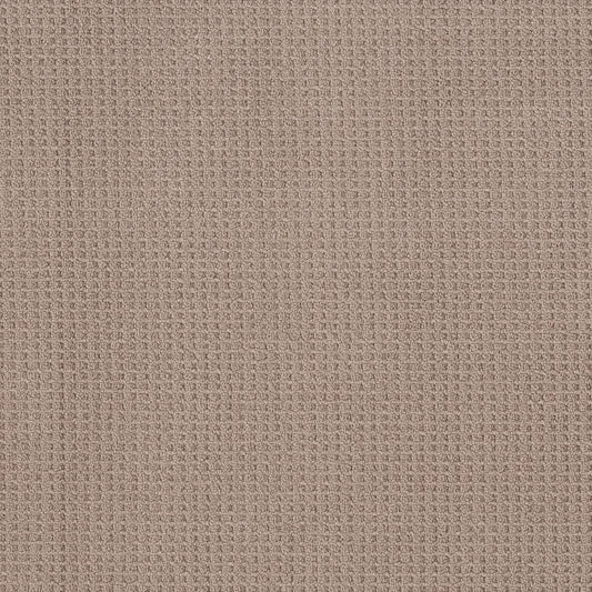 Shaw Floors - Carpet - Foundations Collection - Faint Intent - Raw Wood