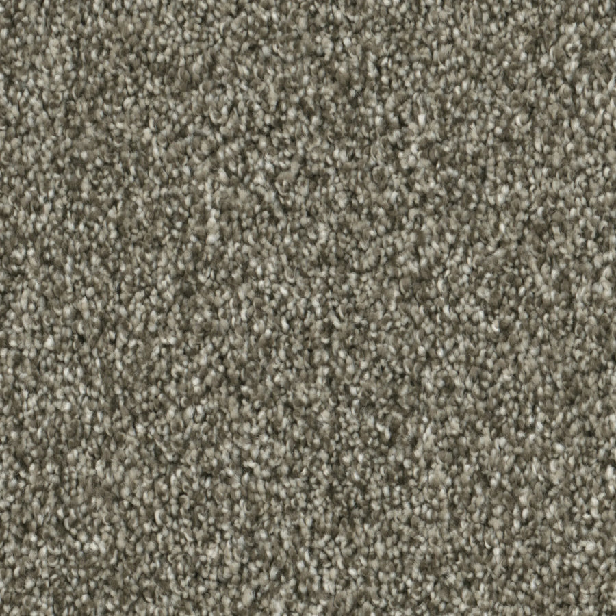 Primco - Estates Carpet - Majesty Collection - Rythm