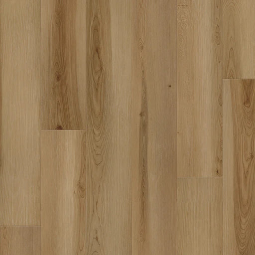 BIYORK - HydroGen 6 - Solstice