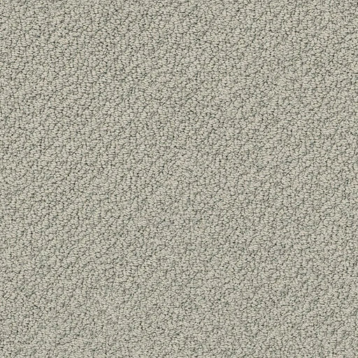 Shaw Floors - Carpet- Foundations Collection - Slate