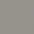 Shaw Floors - Carpet- Foundations Collection - HARMONIOUS II - Sentimental