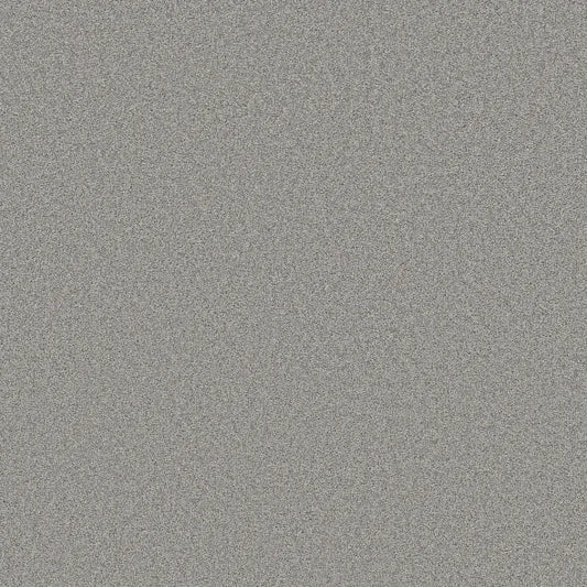 Shaw Floors - Carpet- Foundations Collection - HARMONIOUS II - Sentimental