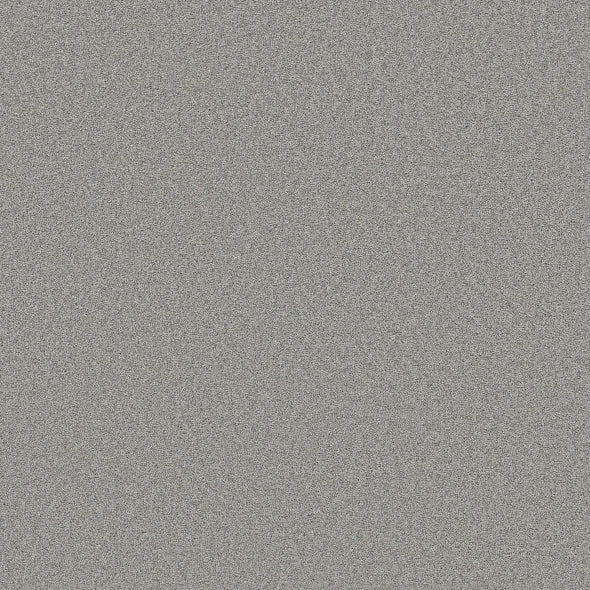 Shaw Floors - Carpet- Foundations Collection - HARMONIOUS II - Sentimental