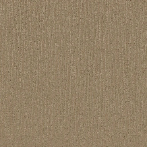 Shaw Floors - Carpet - Simply The Best Collection - Bandon Dunes - Sable