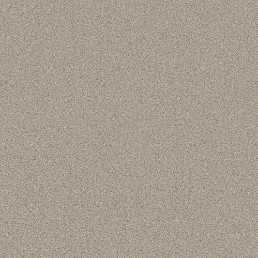 Shaw Floors - Carpet - Simply The Best  - TRUSOLUTIONS III - Sand