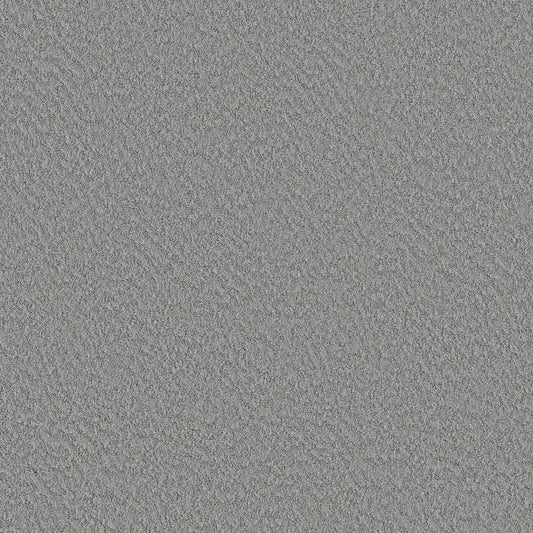 Shaw Floors - Carpet - Foundations Collection  - Alluring Canvas - Sentimental