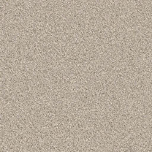 Shaw Floors - Carpet - Foundations Collection  - Alluring Canvas - Sandstone