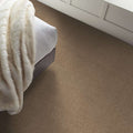 Shaw Floors - Carpet - COMFORTING I - Studio