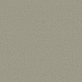 Shaw Floors - Carpet - COMFORTING II - Sage Brush