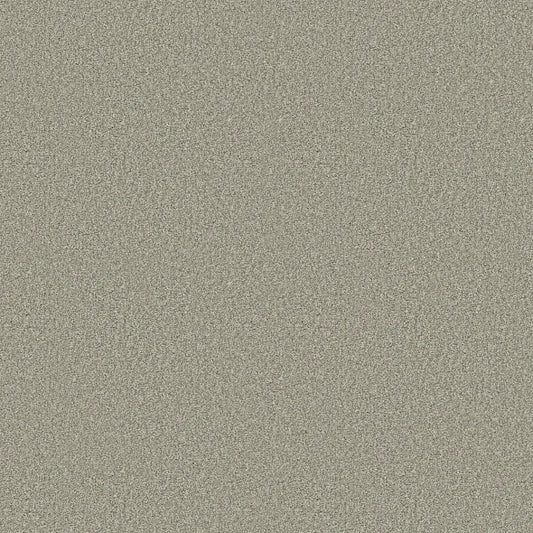 Shaw Floors - Carpet - COMFORTING II - Sage Brush