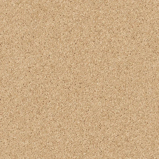 Shaw Floors - Carpet - Full Court 12' - Sun Beam