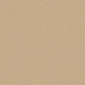 Shaw Floors - Carpet - Classics Collection  - Awaken Spirit I 12' - Sugar Cookie