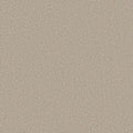 Shaw Floors - Carpet - Simply The Best  - TRUSOLUTIONS III - Sugar Cookie