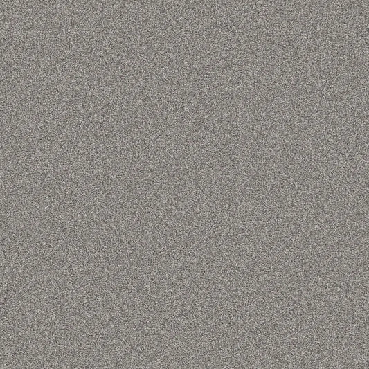Shaw Floors - Carpet - Simply The Best  - TRUSOLUTIONS III - Storm Cloud