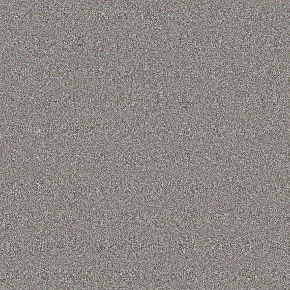 Shaw Floors - Carpet - Simply The Best  - TRUSOLUTIONS III - Storm Cloud