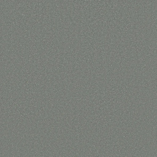 Shaw Floors - Carpet - Classics Collection  - Awaken Spirit I 12' - Secret Escape