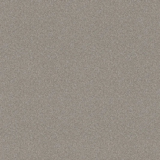 Shaw Floors - Carpet - Simply The Best  - Attainable - Soft Fleece