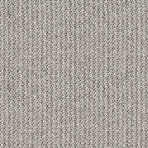 Shaw Floors - Carpet - Foundations Collection - Faint Intent - Silver Lining