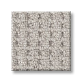 Shaw Floors - Carpet - Foundations Collection - Faint Intent - Silver Lining