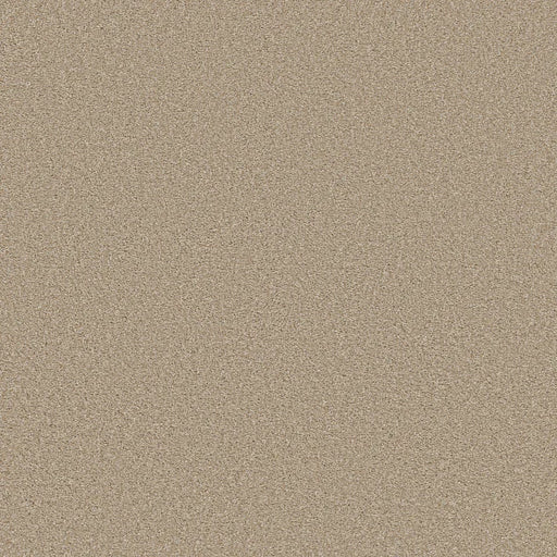 Shaw Floors - Carpet - Simply The Best  - TRUSOLUTIONS III - Sheer Natural