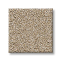 Shaw Floors - Carpet - Simply The Best  - TRUSOLUTIONS III - Sheer Natural