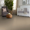 Shaw Floors - Carpet - Simply The Best  - TRUSOLUTIONS III - Sheer Natural
