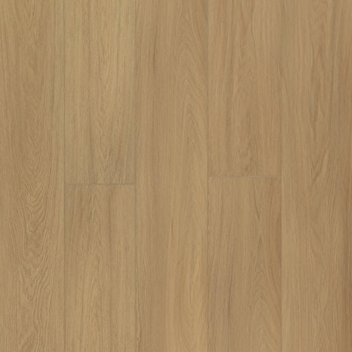 Monterey - Duranova Collection - Sunlit Pine