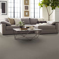 Shaw Floors - Carpet - Simply The Best  - TRUSOLUTIONS III - Stone Path