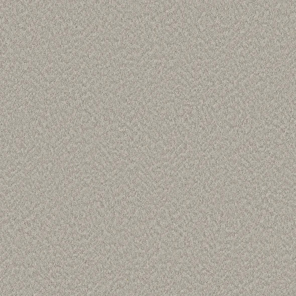 Shaw Floors - Carpet - Foundations Collection  - Alluring Canvas - Split Sediment