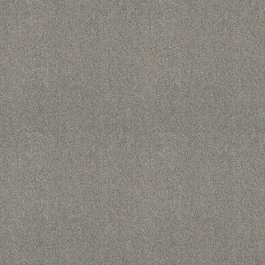 Shaw Floors - Carpet - COMFORTING I - Stepping Stone