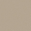 Shaw Floors - Carpet- Foundations Collection - HARMONIOUS II - Sandstone