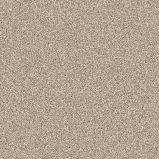 Shaw Floors - Carpet- Foundations Collection - HARMONIOUS II - Sandstone