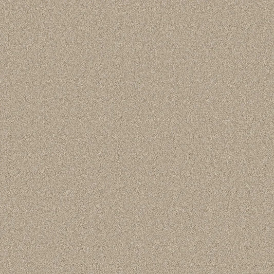 Shaw Floors - Carpet- Foundations Collection - HARMONIOUS II - Sandstone