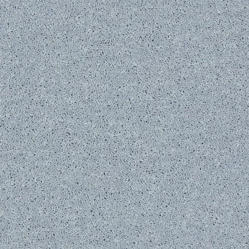 Shaw Floors - Carpet - Full Court 12' - Silver Spoon