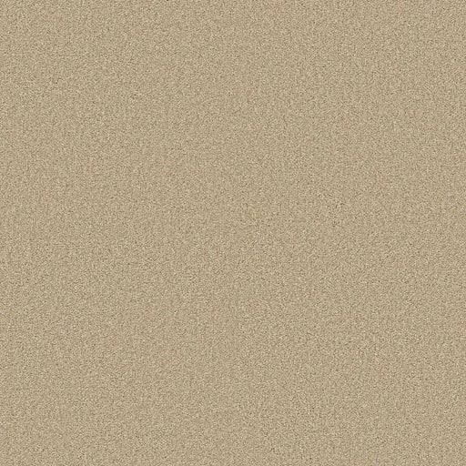 Shaw Floors - Carpet - COMFORTING II - Sesame Seed
