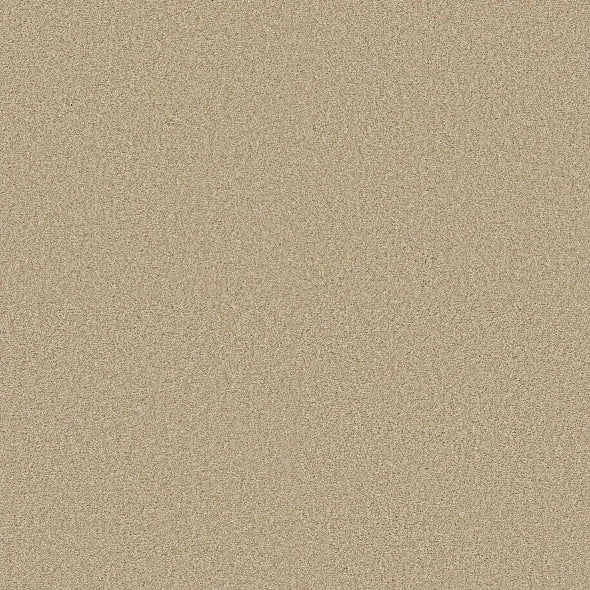 Shaw Floors - Carpet - COMFORTING II - Sesame Seed