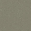 Shaw Floors - Carpet - Classics Collection  - Awaken Spirit I 12' - Silver Sage