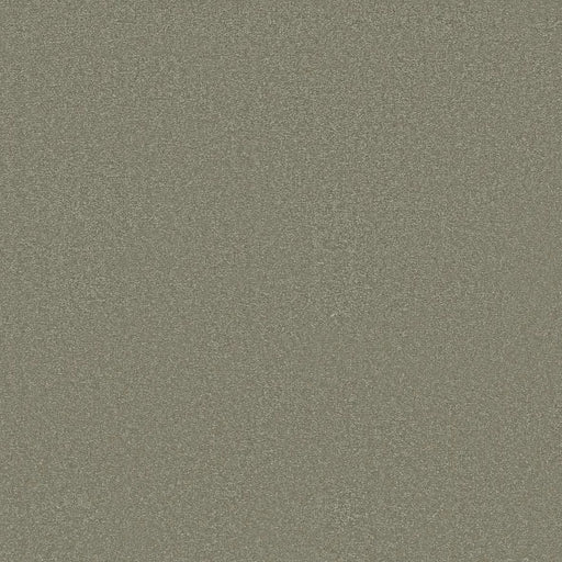 Shaw Floors - Carpet - Classics Collection  - Awaken Spirit II - 12' - Silver Sage