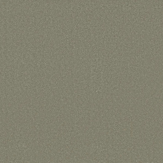 Shaw Floors - Carpet - Classics Collection  - Awaken Spirit II - 15' - Silver Sage