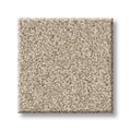 Shaw Floors - Carpet- Foundations Collection - HARMONIOUS II - Sandstone