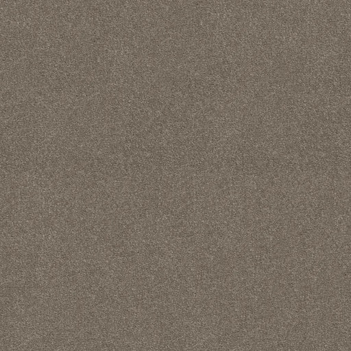 Shaw Floors - Carpet - Simply The Best  - Attainable - Smooth Taupe