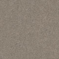 Shaw Floors - Carpet - Simply The Best  - Attainable - Smooth Taupe