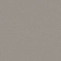 Shaw Floors - Carpet - Classics Collection  - Awaken Spirit I 12' - Subtle Touch