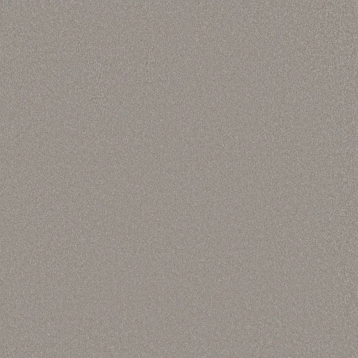 Shaw Floors - Carpet - Classics Collection  - Awaken Spirit II - 12' - Subtle Touch