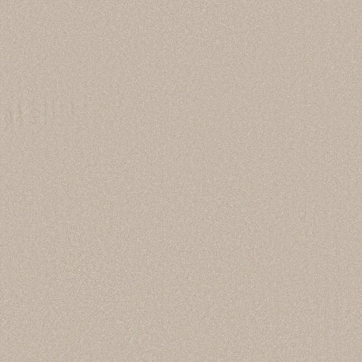 Shaw Floors - Carpet - Classics Collection  - Awaken Spirit II - 15' - Spun Wool