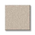 Shaw Floors - Carpet - Classics Collection  - Awaken Spirit II - 15' - Spun Wool