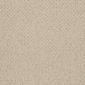 Shaw Floors - Carpet- Foundations Collection - Smart Thinking - Safari