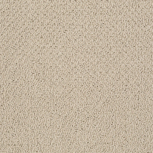 Shaw Floors - Carpet- Foundations Collection - Smart Thinking - Safari