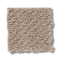 Shaw Floors - Carpet- Foundations Collection - Smart Thinking - Safari